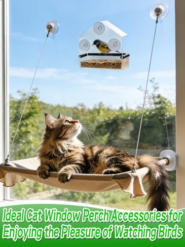 MEWTOGO Outdoor Window Bird Feeder for Cats Viewing, Small - size: Small