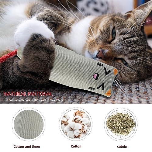 Soft Indoor Cat Toys Self Play Interactive Pillows Catnip Filled 5PCS Plush Kitten Teething Set Cute Kitty Chew Bite Resistant Cartoon Mouse Pet Supplies Gifts