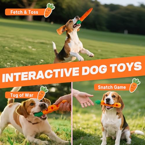 Fida 2-in-1 Puppy Teething Toys, Natural Rubber Chew Toys for Dogs, Carrot - color: Orange Carrot