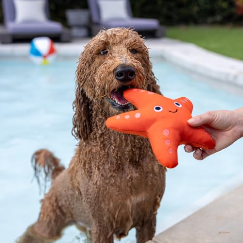Fringe Studio Shelly Floating Dog Toys, Pet Shop Collection (640004) - color: Shelly
