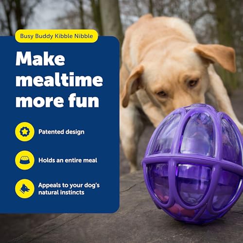 PetSafe Busy Buddy Kibble Nibble Treat Dispensing Dog Toy, Medium/Large