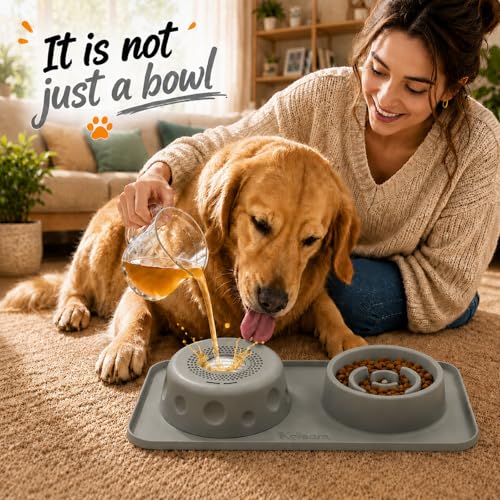 2 in 1 Silicone Slow Feeder Dog Bowl & Lick Bowl,Pet Feeding Bowl - color: Gray