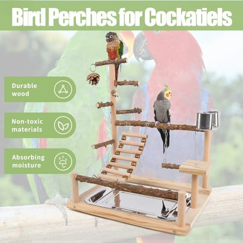 Bird Playground, Parrot Perch Stand, Natural Wood Bird Play Stands for Cockatiel Wood Perch Gym Playpen Ladder with Removable Tray and 2 Stainless Steel Cups, Bird Cage Accessories, Parrot Swing - color: Borown