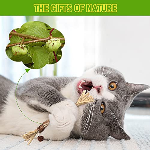 Silvervine Sticks Cat Chew Toys for Indoor Cats Dental Care Teeth Cleaning, Natural Kitten & Cat Teething Toys for Health, Cat Chew Stick Treat Edible Suitable for All Breeds of Aggressive Chewers Cat - size: 1PCS