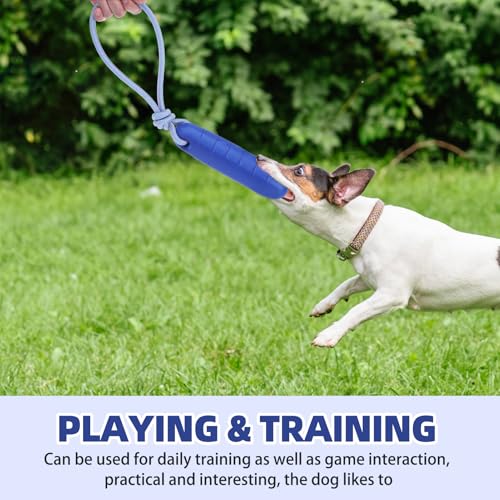 PUPTECK Interactive Dog Pool Toys Water Floating Toys Fetch Training Bumpers 2 Pack, Blue & Green - color: Blue & Green