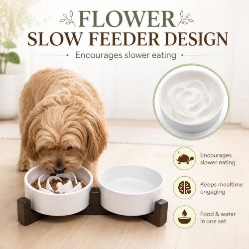 2-in-1 Ceramic Elevated Slow Feeder Dog Bowls with Acacia Wood Stand - size: Small