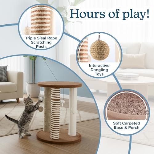 Cat Scratching Post - 3 Scratcher Posts with Carpeted Base Play Area and Perch - Furniture Scratching Deterrent for Indoor Cats by PETMAKER (Brown), Large - color: Brown