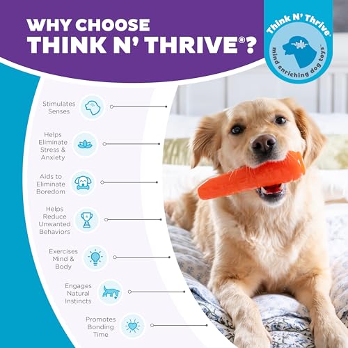 Outward Hound by Planet Dog Foodies Carrot Treat-Dispensing Dog Chew Toy, Orange - color: Carrot