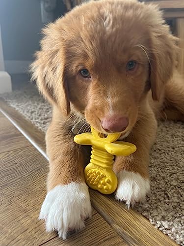 Nylabone Puppy Chew Rubber Textured Teether Dog Chew Toy, Vanilla Flavor - size: Small