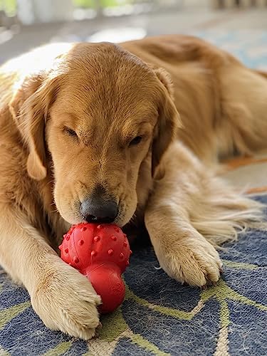 Nylabone Strong Chew Rubber Stuffable Cone Treat Toy, Bacon Flavor, Large - color: Red, size: Large