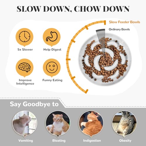 Melamine Slow Feeder Cat Bowls - 3 Pack Cat Food Dishes, 6.3 Inch Wide Opening Whisker Friendly Maze Plates for Dry and Wet Food, Dishwasher Safe, White - color: 3 Pack - White, size: 2"H