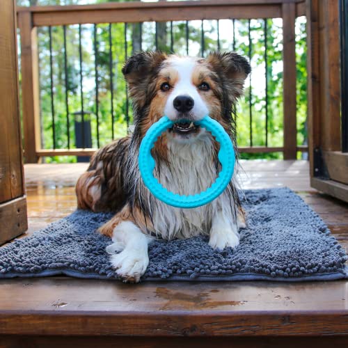 Messy Mutts Totally Pooched Chew n Tug Ring, 6.5 Inch, Teal