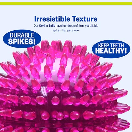 PetSport Gorilla Spiky Ball 4” - Spiky Rubber Dog Ball Toy, Interactive Puppy Toy for Small and Medium Size Dogs, TPR Rubber, Vanilla Scented - 4 Inch, Large - color: Assorted, size: 4 Inch - Large
