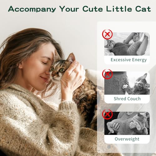 Pawaboo Cat Feather Wand Interactive Toy, 2 Feathers + 1 Wand with Bell - color: White & Green