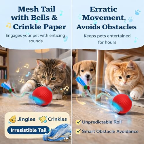 Interactive Cat Toys for Indoor Cats – Motion Activated Automatic Cat Ball with SpeedyTail, 3 Play Modes, Rechargeable LED Rolling Ball, Kitten Toys for Bored Indoor Cats, Smart Cat Enrichment Toy