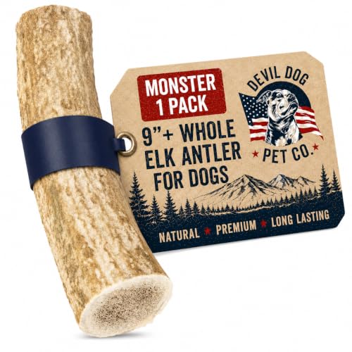 Devil Dog Pet Co Whole Elk Antlers for Dogs, Monster, Aggressive Chewers - style: WHOLE - Monster - 1 Pack