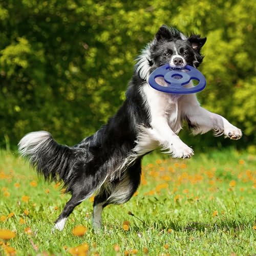 SuperChewer Tough Tug-of-War Flying Disc Toy | Lifetime Replacement | Strong Natural Rubber | Great Tug Disc Fetch Toy for Dogs | Ultra Durable Chew Toys for Aggressive Chewers | For All Breeds - size: Large
