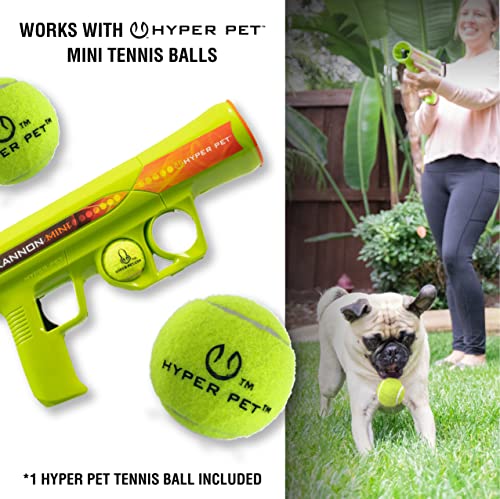 Hyper Pet MINI K9 Kannon Dog Ball Thrower Launcher for Small Dogs (Small Breeds Up To 20 Pounds), Includes 1 Hyper Pet 2 Inch Tennis Ball (Smaller than Regular Tennis Ball) - size: Mini, style: Mini Tennis Ball Launcher
