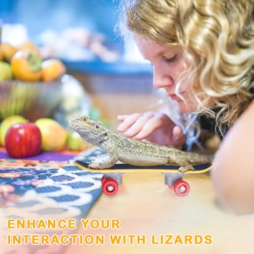 Bearded Dragon Skateboard Toys Bird Parrot Intelligence Toys Turtle Fast Skateboard Accessories Fun pet Turtle Play and Training Toy mini Walking Skateboard Parrot Reptile Skateboard (Large)