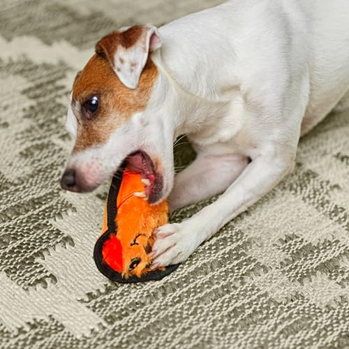Outward Hound Durablez Minis Stuffing-Free Squeaky Plush Dog Toy for Puppies & Small Dogs - Interactive, Soft Yet Tough, No Mess, Jumbo Squeaker, Long-Lasting Play, Dog - color: Dog