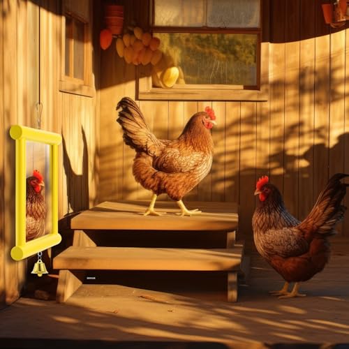 Sadnyy Extra Large Chicken Mirror Toy for Coop Square Double Side Mirror - color: Yellow, size: Square