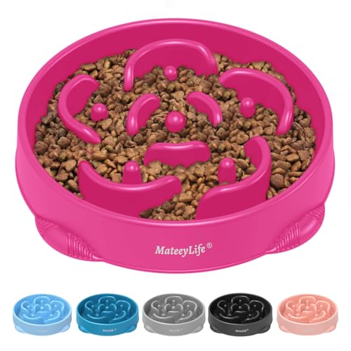 MateeyLife 1-Pack Slow Feeder Dog Bowls, 4 Cups, Dog Puzzle Feeder Bowl - color: J-Purple, size: Large