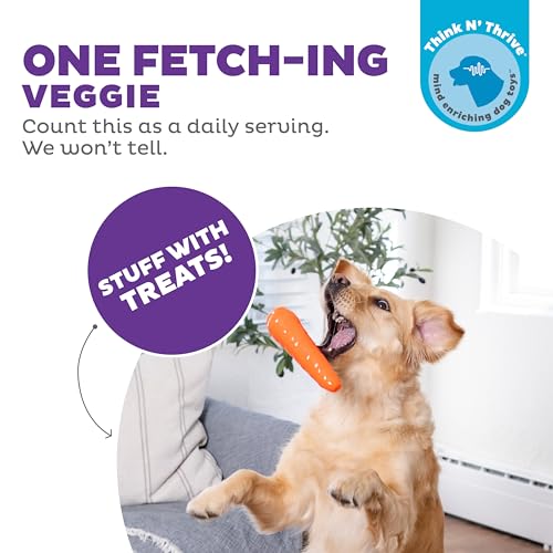 Outward Hound by Planet Dog Foodies Carrot Treat-Dispensing Dog Chew Toy, Orange - color: Carrot