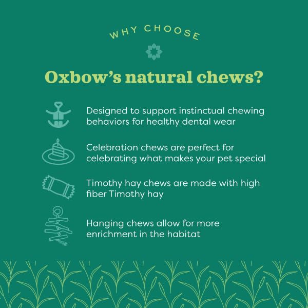 Oxbow Enriched Life Celebration Cupcake - Toy for Rabbits, Guinea Pigs, Hamsters, Rats - style: Celebration Cupcake