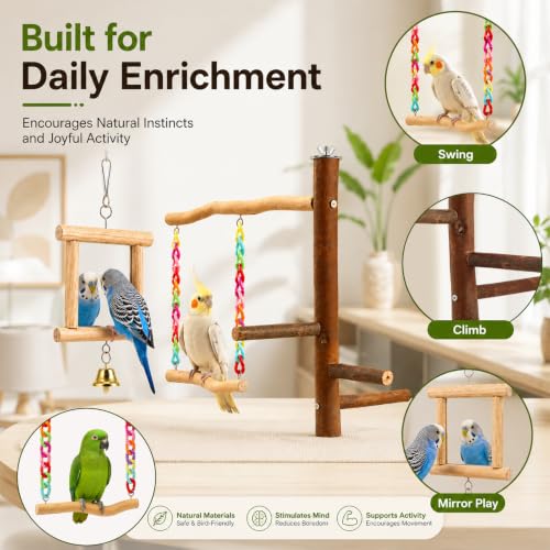 Bird Swing Toys with Perch Stand, Natural Wood Bird Play Stand with Swing and Mirror, Chewable Bird Cage Toy for Budgies Parakeets Cockatiels and Small Parrots