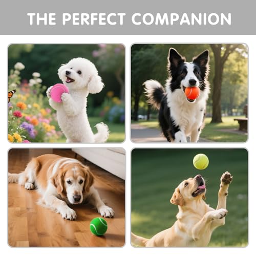 PHOEPET 6-Pack Tennis Balls for Beginner Training Practice- Bulk Dog Balls - color: Mix Colors-6 Pack, size: Medium 2.5"- 6 Pack