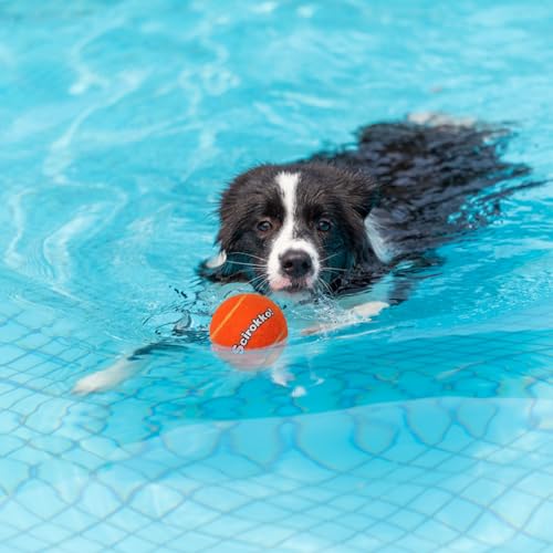 Tennis Balls for Dogs - Squeaky Bouncy Ball Toys 2.5 inches 12 Pack for Indoor Playing and Outdoor Interactive Fetch Training