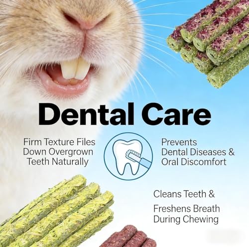 40PCS Chew Treat Rabbit Toys for Teeth Health - color: 40PCS