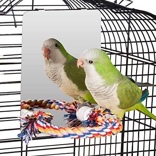 Colorday 7" Bird Mirror with Rope Perch, Medium - size: Medium