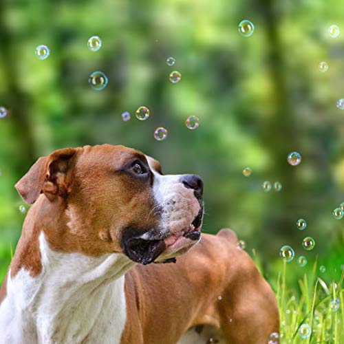 Pet Qwerks Incredibubbles Interactive Pet Toys - Long Lasting Edible Bubbles for Dogs & Cats - Peanut Butter Flavor - 38 ML, All Breed Sizes - size: 38 ml