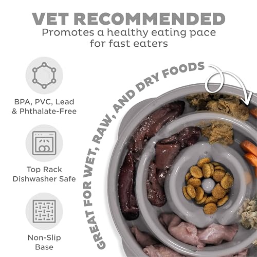 Outward Hound Fun Feeder Slo Bowl Dog Slow Feeder, Drop, Gray, 8.8" - color: Gray, size: Medium