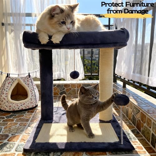 Cat Scratching Post, 19.69" H(50cm) Cat Tree with Cat Bed, Scratching Posts for Indoor Cats with Two Plush Balls Toy, Small Cat Tree for Kittens/Cats Playing and Relaxing (20 in Grey Cat Tree) - size: 20 in