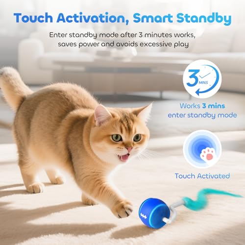 Interactive Cat Toy Ball for Indoor Cats with 3-Mode Touch Activated