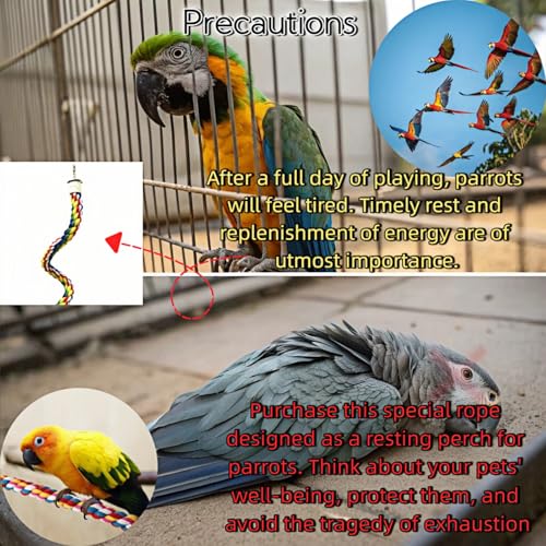 Bird Rope Perches, Parrot Toys, Bungee Rope Perches for Parrots, Cockatiels, Parakeets, Budgie Cages Comfy Birds (Metal Nut) - 41.34 inches - size: 105cm