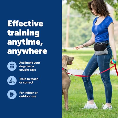 PetSafe Clik-R Dog Training Clicker, Blue - color: Blue
