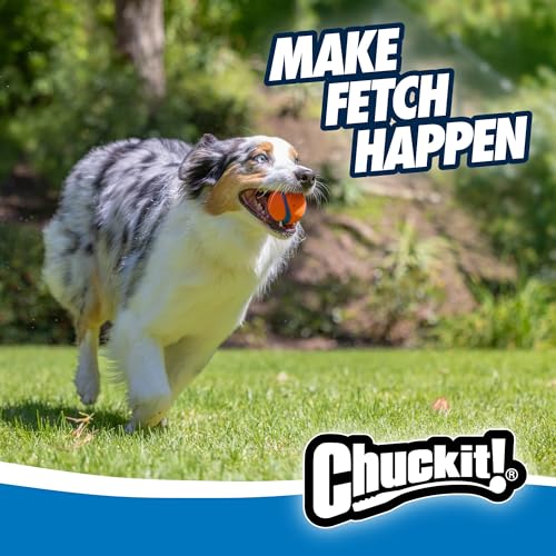 Chuckit! Ultra Ball Toy, Medium 2.5in for Breeds 20-60lbs, 1 Pack - size: Medium (1 Pack), style: Ultra