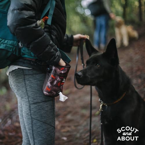 P.L.A.Y. Scout & About Deluxe Training Treat Pouch with Bag Dispenser - 3 Way Wear, Detachable & Adjustable Strap, Reflective Strips, Water-Resistant Back Zipper Pocket, Squeaker (Mocha) - color: Mocha