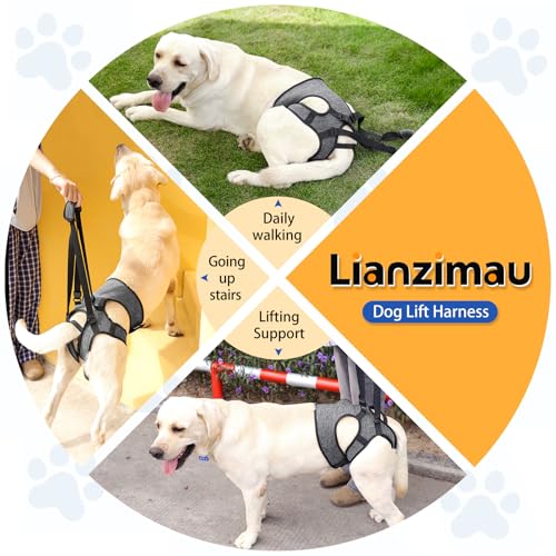 LIANZIMAU Dog Sling for Large Dogs Adjustable Hind Leg Support Lift Harness Senior Canine Mobility Aid Carrier for Back Legs Walking Rehabilitation - color: Grey, size: M（Waist:18"-21")