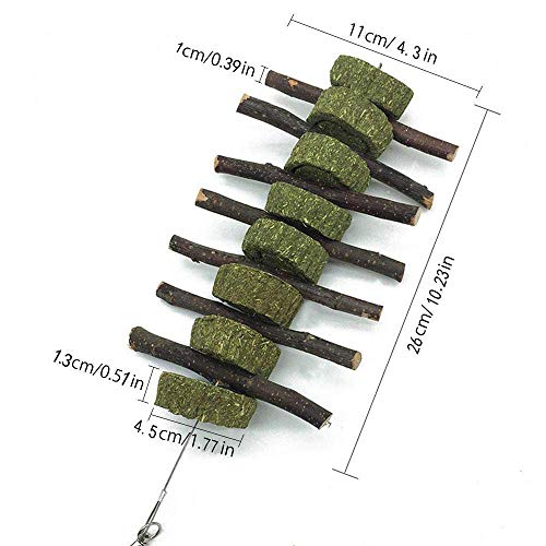 Bunny Chew Toys for Teeth, Organic Apple Wood Molar Sticks with Timothy Hay Circles for Bunny Chinchilla Guinea Pig Hamsters Holland Lop Prairie Dogs Squirrels Gerbils, Improves Dental Health - color: 1 PCS Apple Stick String