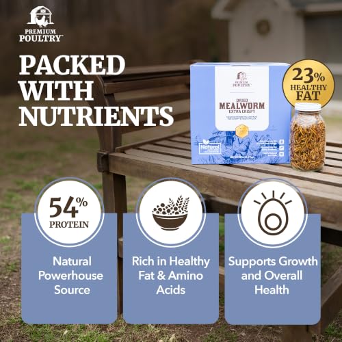 Mealworms for Chickens & Wild Birds,10 Lb - size: 10lb, style: Meal Worms