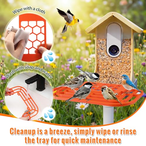 Saillong 2-in-1 Bird Feeder Kit, Compatible with BirdBuddy Feeder, Orange - color: Orange