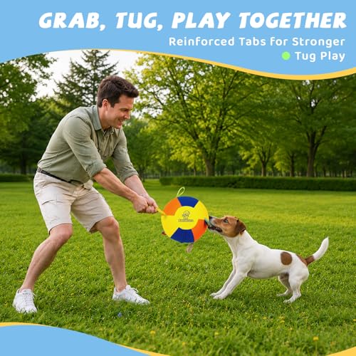 Small Herding Ball for Dogs, 9.8" Dog Soccer Ball with Straps - size: 10"