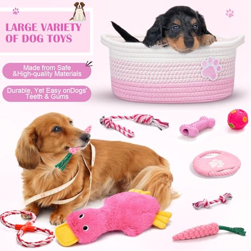 Zopeal Dog Toy Gift Basket Set for Puppy Birthday, Pink - color: Pink