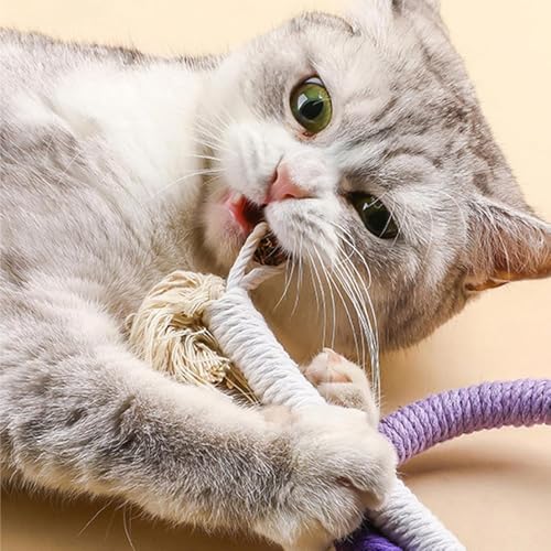 Cat Toys Chew Ropes 3Pcs with Refillable Natural Catnip, Safe Teeth Cleaning Toy for Indoor Kittens, Interactive Cat Nip Kitty Toys for All Breeds 19.5 Inches
