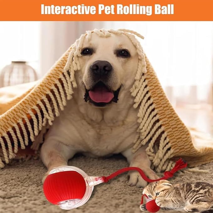 2025 New Electric Dog Ball Toy,360° Smart Automatic Interactive Rolling Dog Ball, Smart Pet Toy Ball,Interactive Toys,Gift for Kids（Yellow - color: yellow