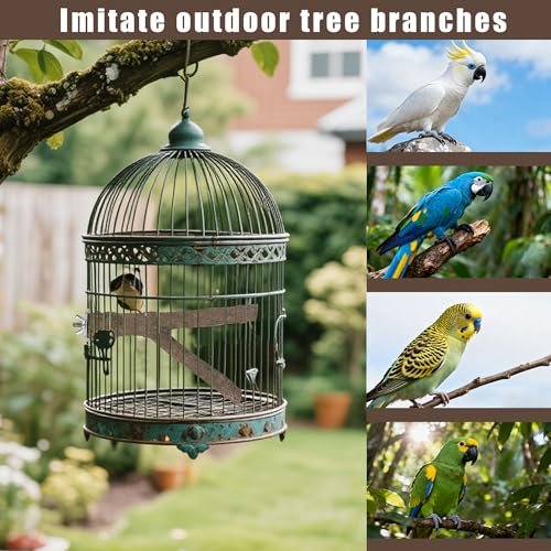 6 PCS Bird Perch Set